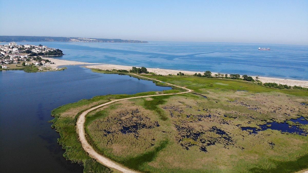 Туреччина виявила ще одну міну у Чорному морі, тепер біля кордону з Болгарією - 24 Канал