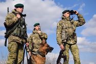Более трех четвертей – мужчины: пограничники сообщили, сколько украинцев приехали из-за границы