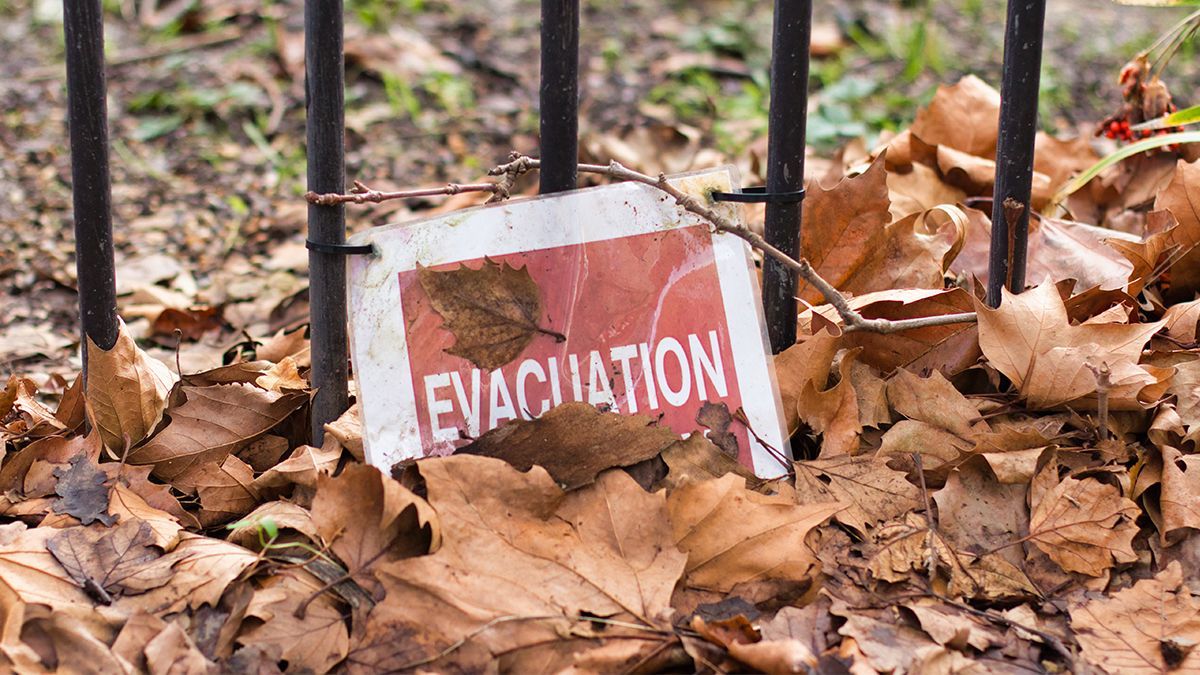 Украинские министерства создали Telegram-бот для поддержки эвакуации населения: что он может Украинские министерства создали Telegram-бот для поддержки эвакуации населения: что он может