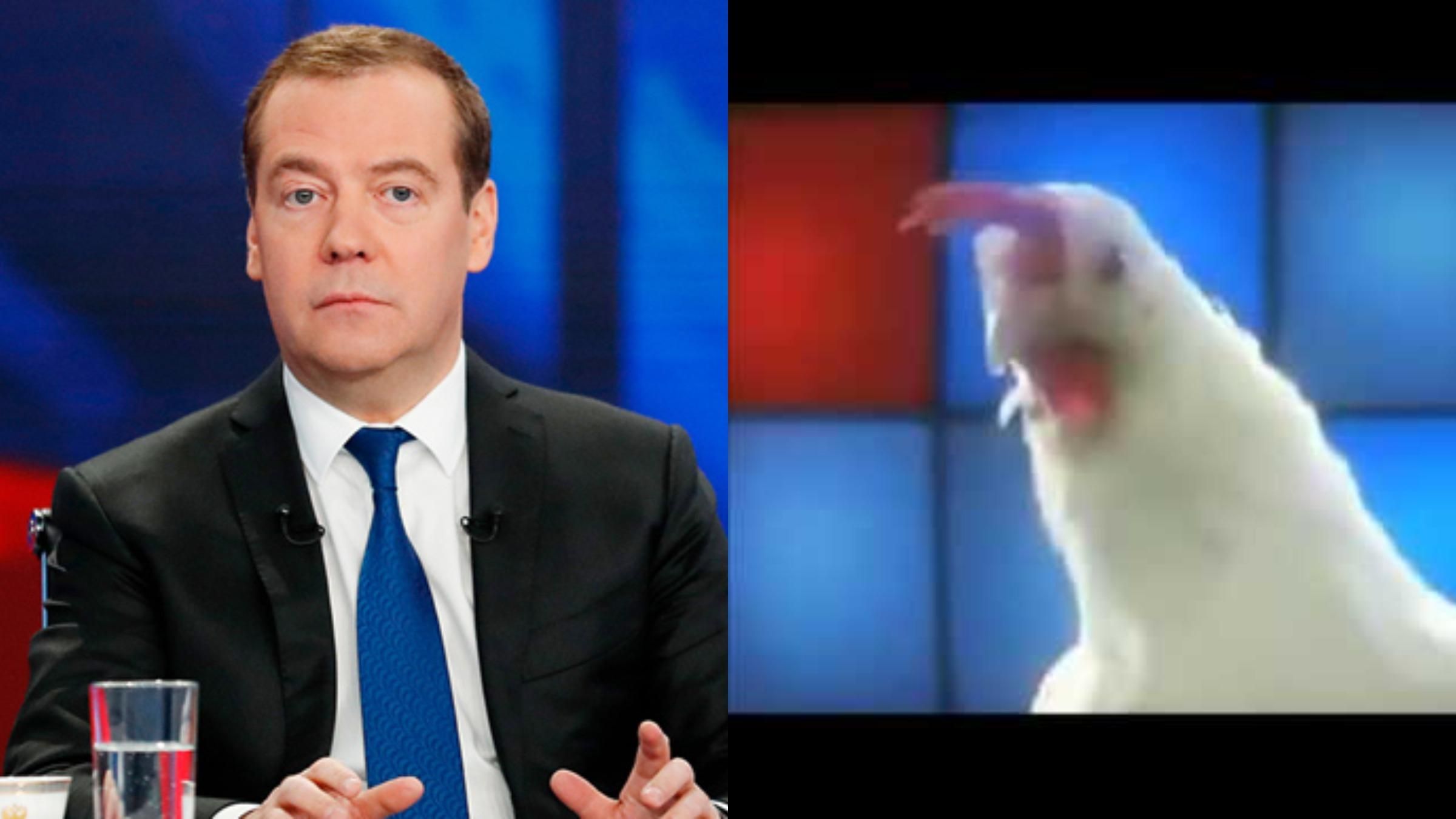 "Прокукурікав": ведучі потролили Медведєва у прямому ефірі – курйозне відео - 24 Канал "Прокукурікав": ведучі потролили Медведєва у прямому ефірі – курйозне відео - 24 Канал