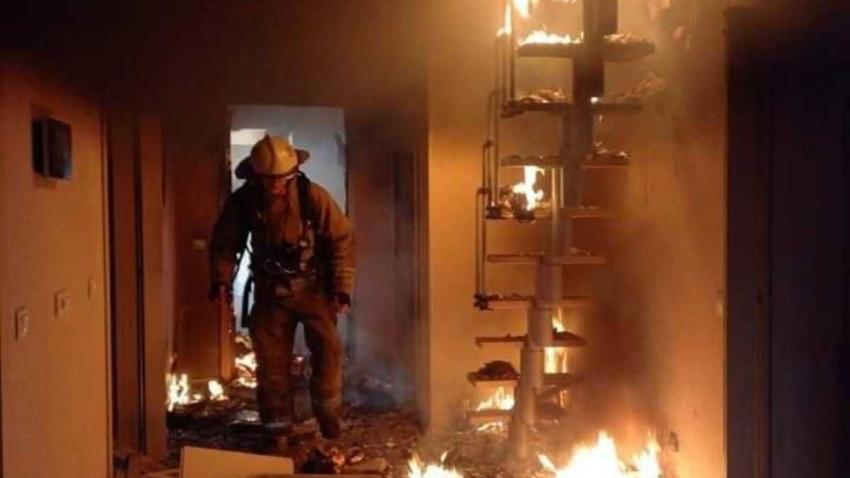 У Попасній внаслідок обстрілу постраждали мирні жителі, які були у бомбосховищі - 24 Канал У Попасній внаслідок обстрілу постраждали мирні жителі, які були у бомбосховищі - 24 Канал