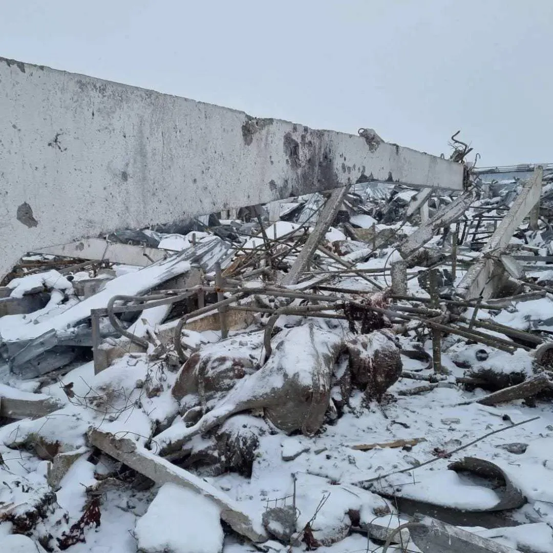 Здание полностью разрушено / Фото UAnimals