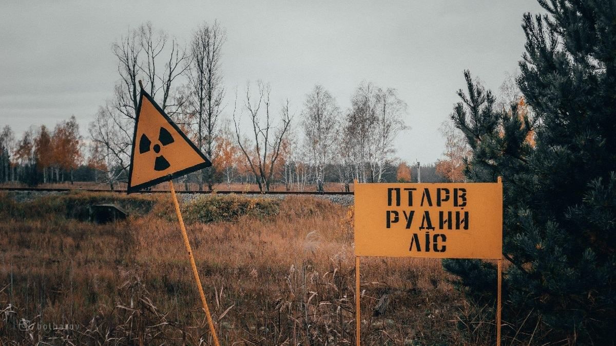 Заслуживают премии Дарвина: Верещук прошлась по оккупантам, которые рыли окопы возле Чернобыля.