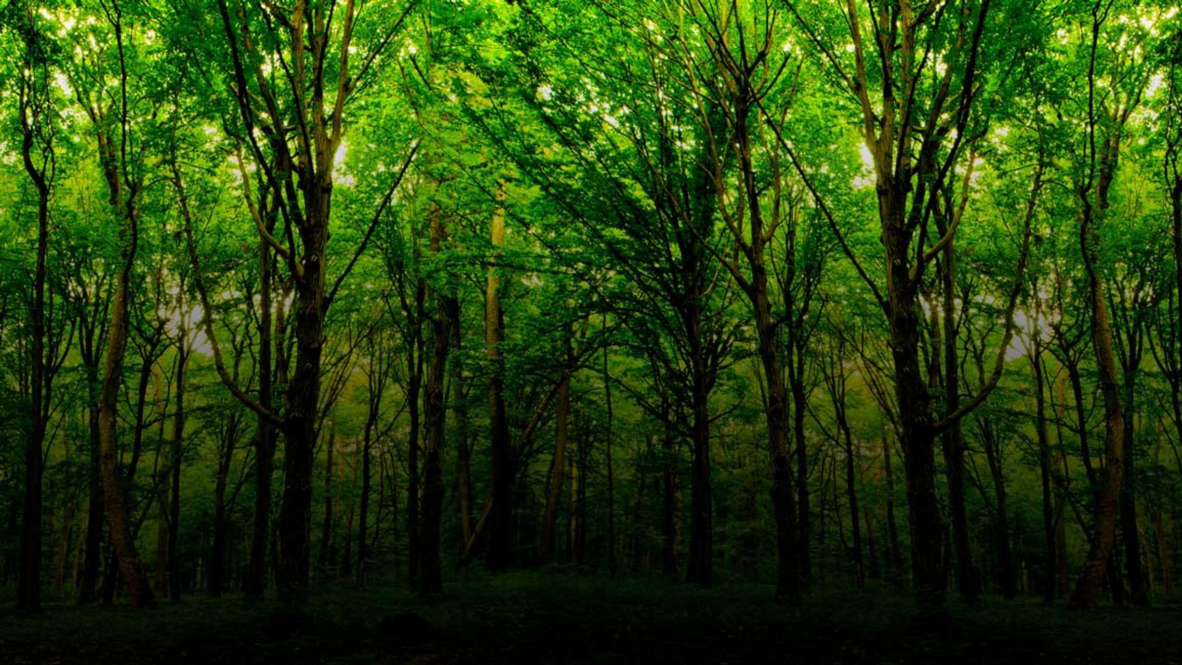 Через дії росіян під загрозою знищення перебувають майже 200 територій Смарагдової мережі - 24 Канал Через дії росіян під загрозою знищення перебувають майже 200 територій Смарагдової мережі - 24 Канал