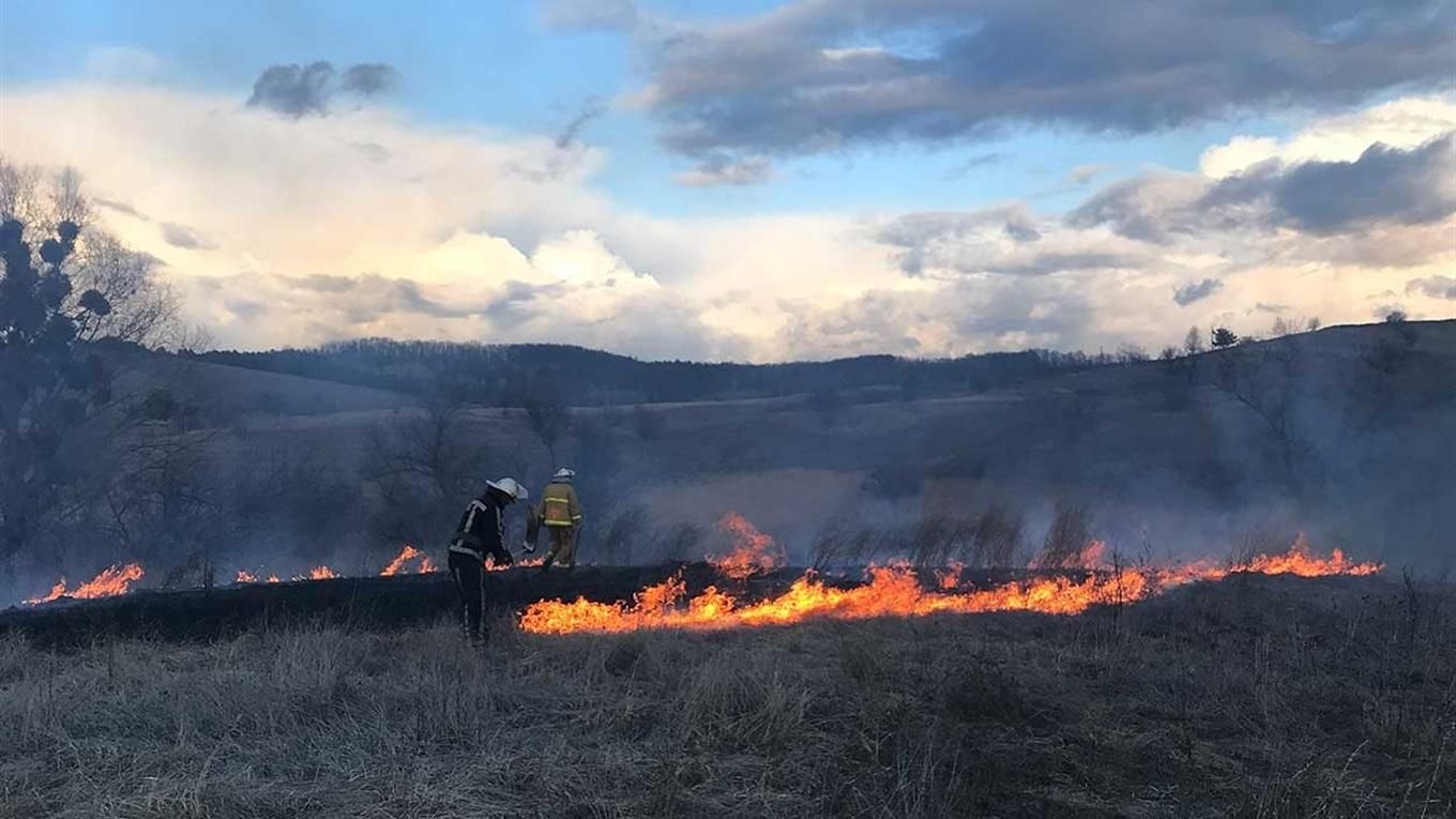 На Харківщині, де тривають важкі бої, цивільні продовжують палити суху траву - 24 Канал