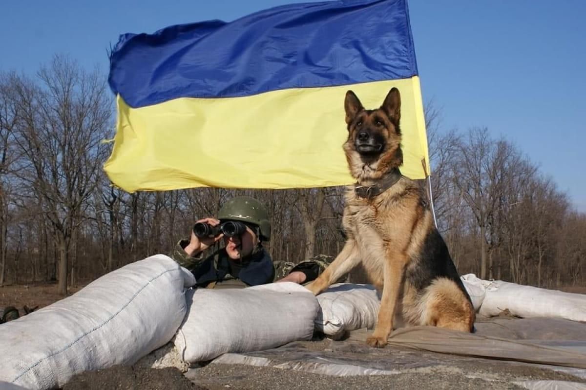 Антидепрессанты, без которых не обходится ни один пост: пограничники показали своих любимцев Антидепрессанты, без которых не обходится ни один пост: пограничники показали своих любимцев