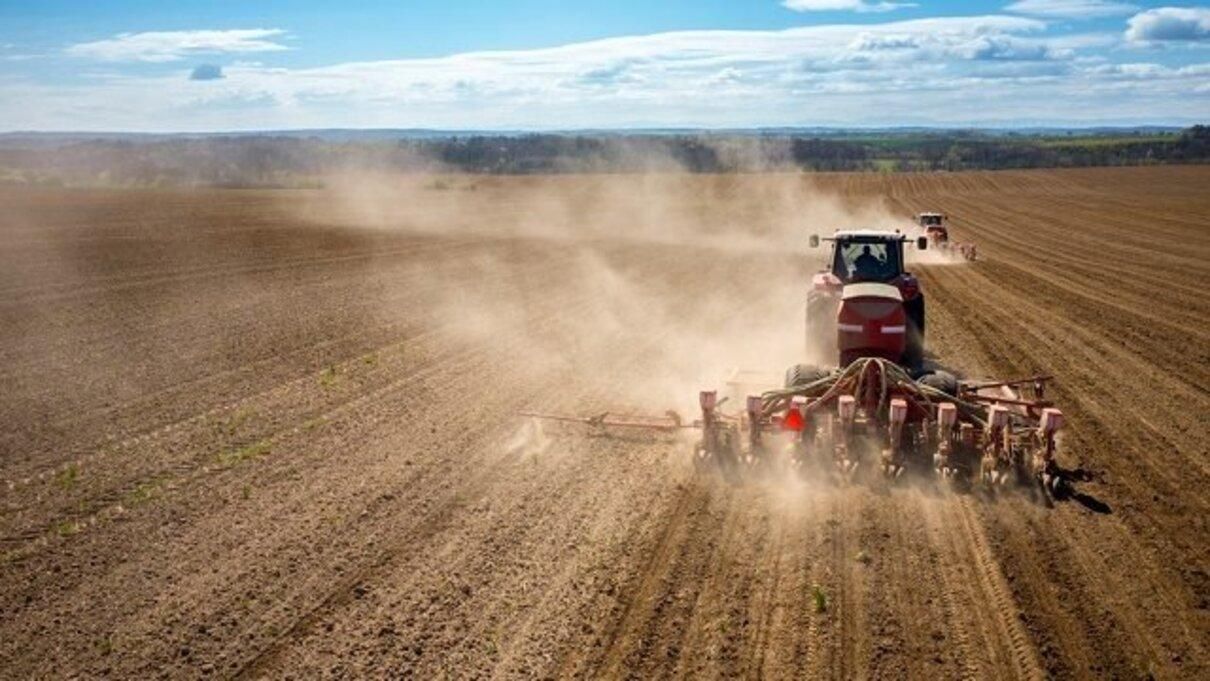 На Харківщині планують засіяти 60 – 80% площ від запланованих до війни - 24 Канал