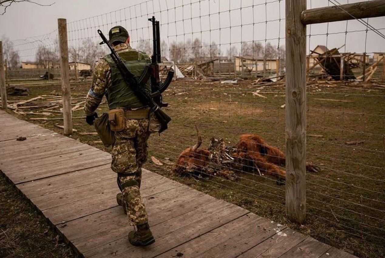 Біля Києва рятують тварин із приватного зоопарку: промовисті фото - 24 Канал Біля Києва рятують тварин із приватного зоопарку: промовисті фото - 24 Канал