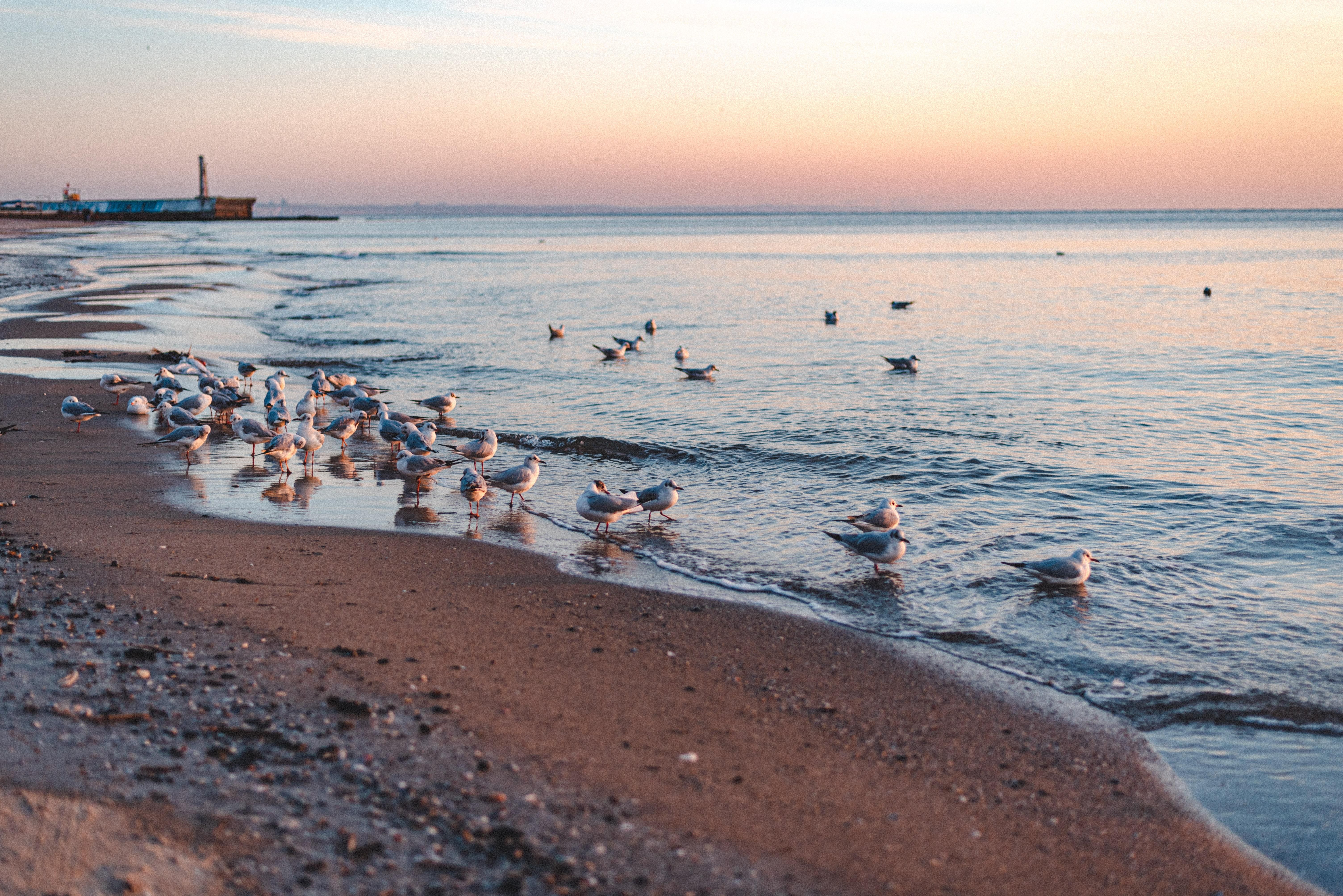 Прогноз погоды на 2 апреля 2022 в Украине от синоптиков Прогноз погоды на 2 апреля 2022 в Украине от синоптиков