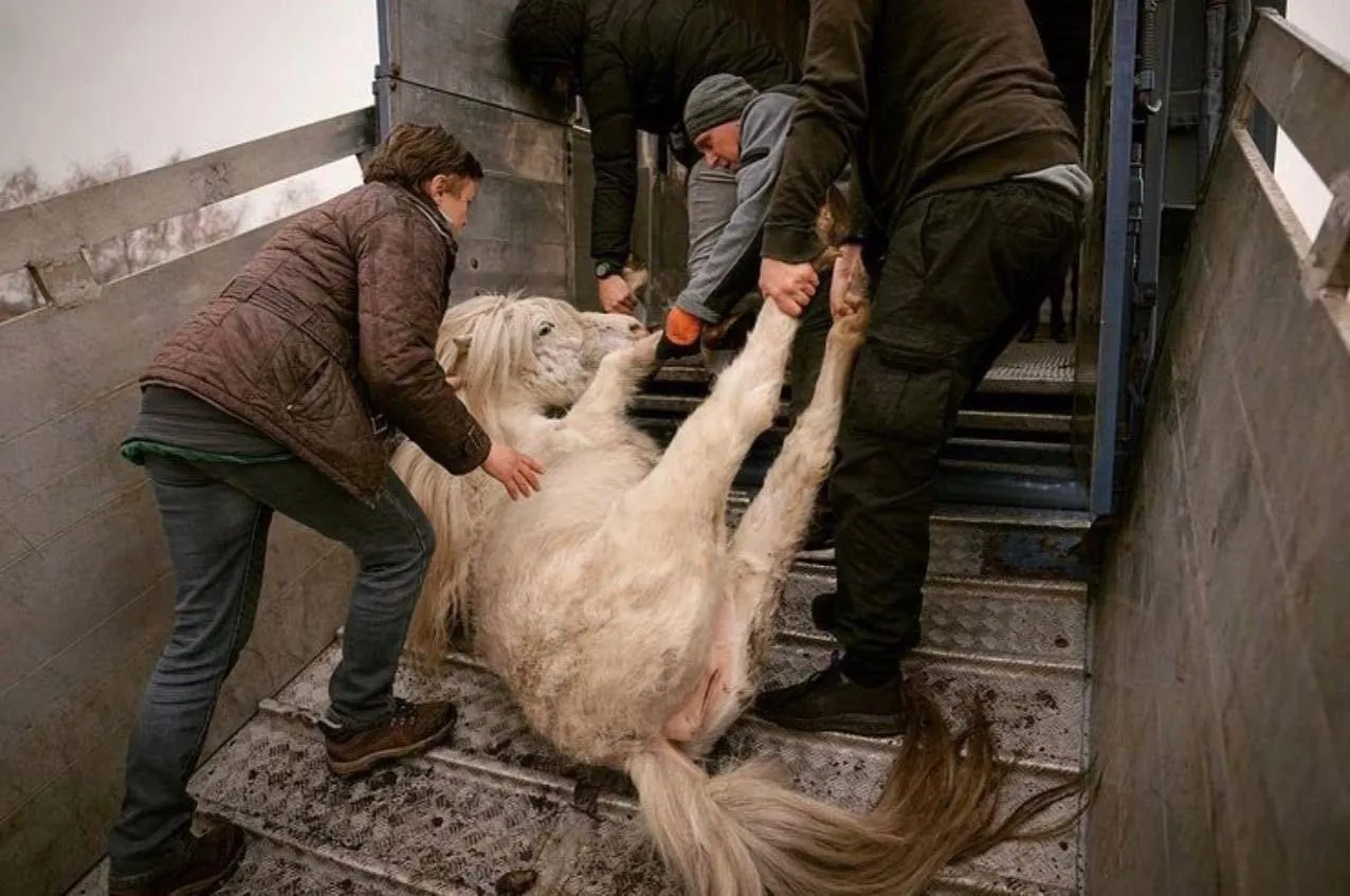 Спасение животных в зоопарке под Киевом Спасение животных в зоопарке под Киевом