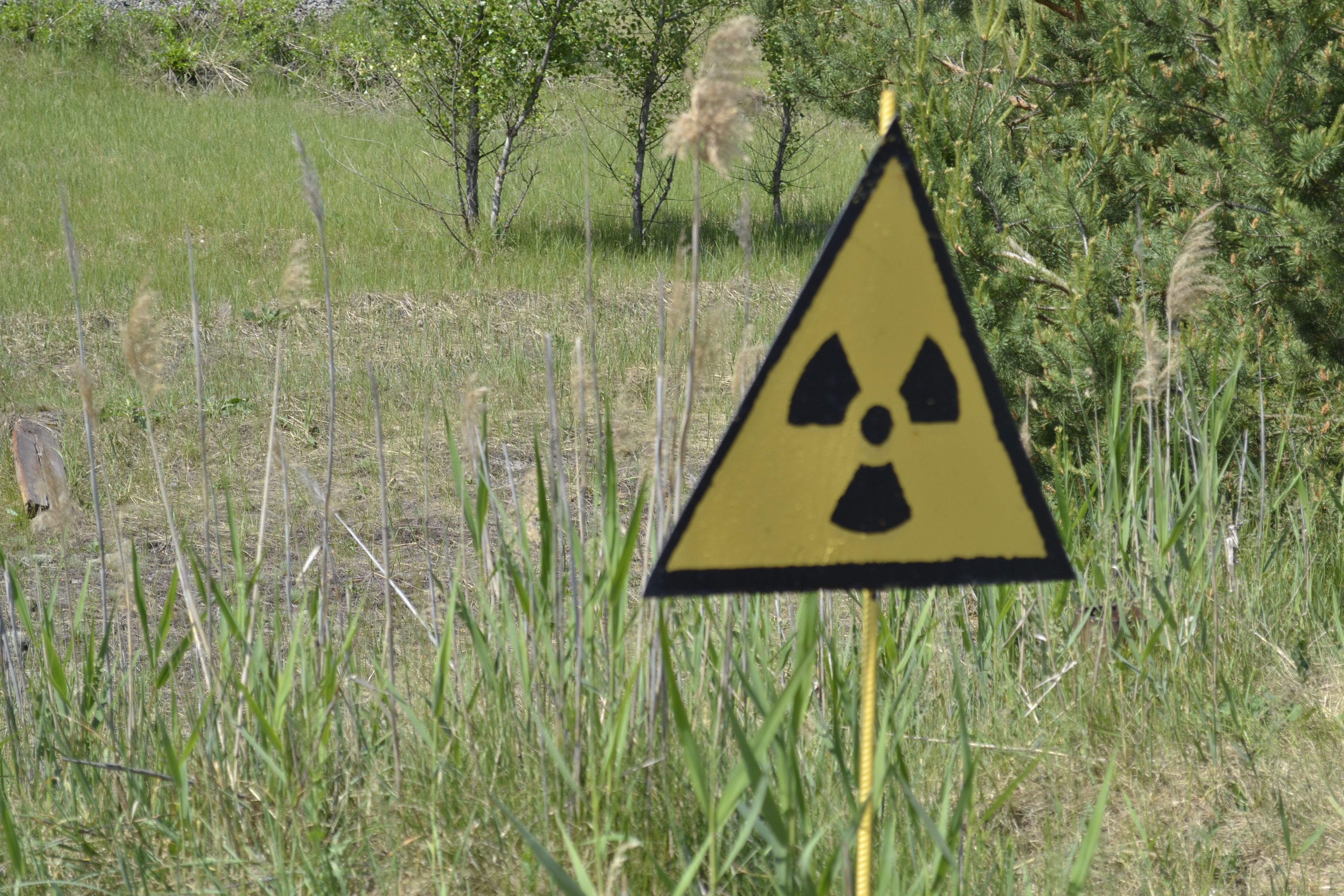 "Как можно быть такими тупыми": россияне рыли окопы под Чернобыльской АЭС