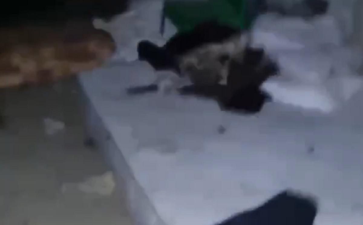 Немов свині: з'явилося відео, як росіяни жили в окупованій Бучі - 24 Канал Немов свині: з'явилося відео, як росіяни жили в окупованій Бучі - 24 Канал