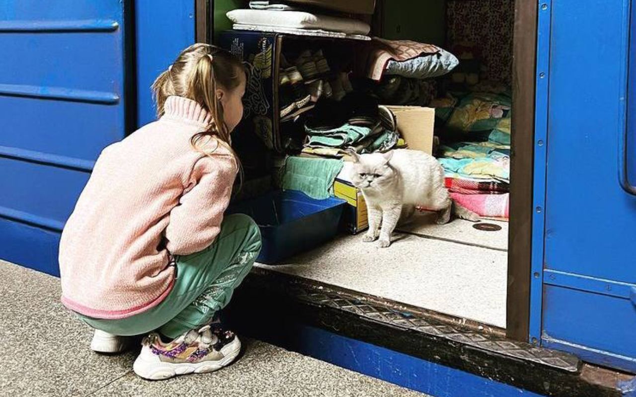 Жизнь в Харьковском метро на фоне войны: ошеломляющие фото Жизнь в Харьковском метро на фоне войны: ошеломляющие фото