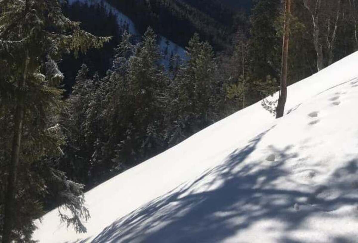 На Драгобраті у Карпатах випало понад 2 метри снігу - 24 Канал