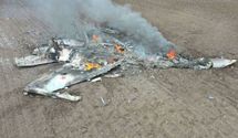 У мережі показали збитий під Ізюмом Су-34 окупантів: фото уламків винищувача