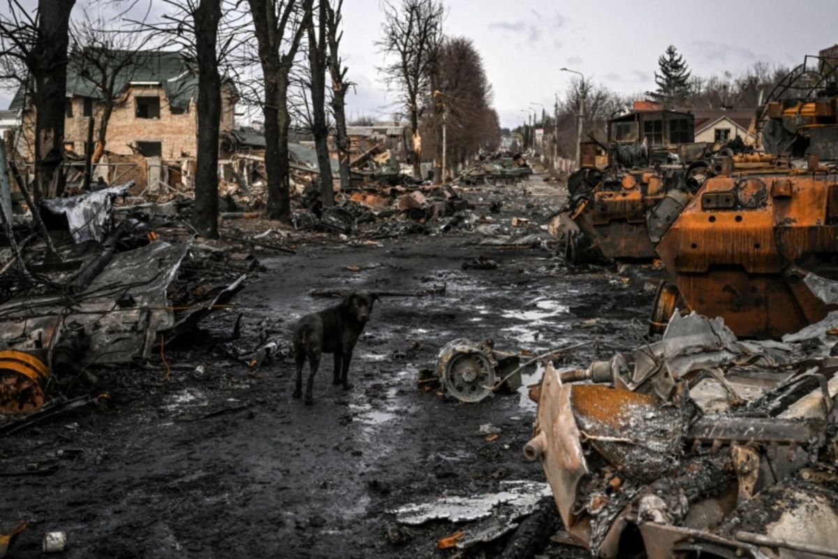 Нестримне насильство Путіна знищує невинні сім'ї і не має кордонів, – Бербок про звірства у Бучі - 24 Канал