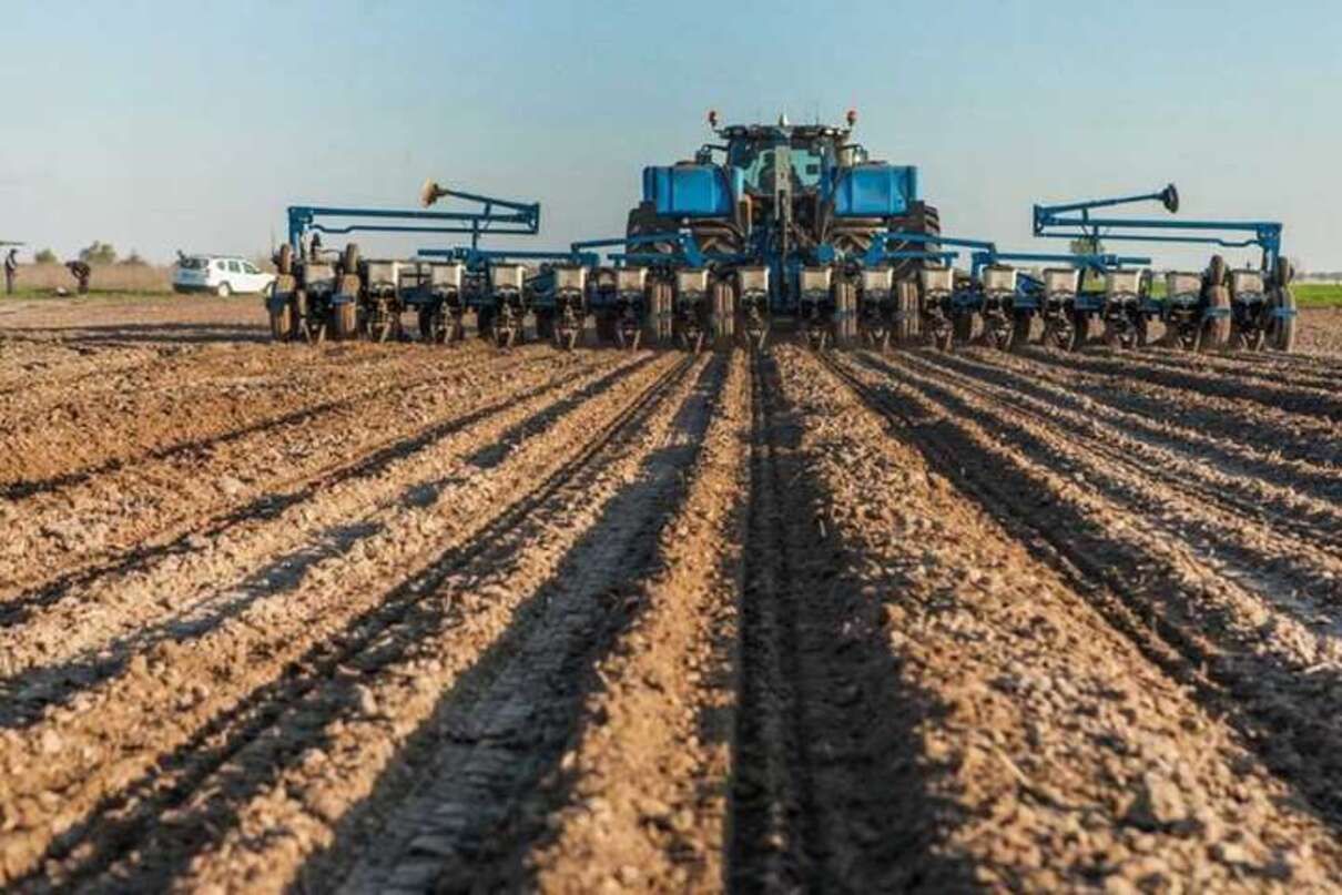 Попри обстріли, Україна очікує на достатній урожай і експорт, – Мінагрополітики - 24 Канал Попри обстріли, Україна очікує на достатній урожай і експорт, – Мінагрополітики - 24 Канал