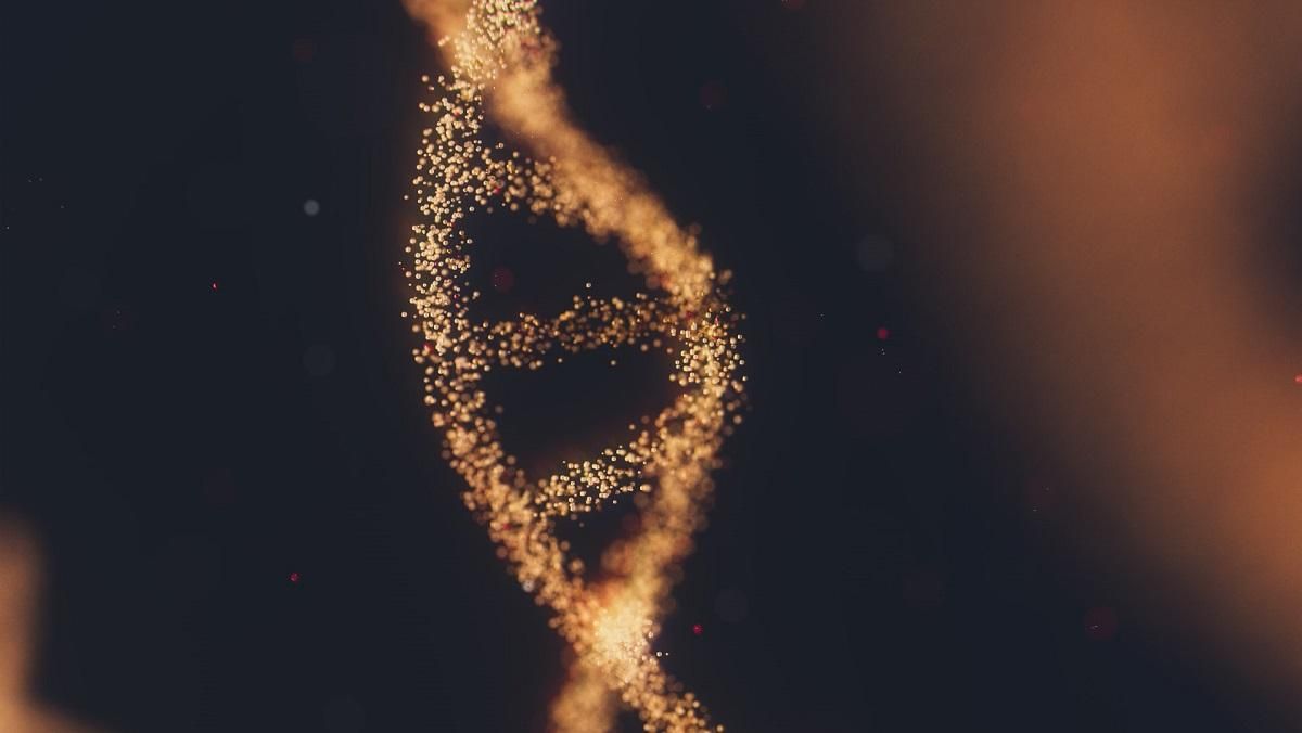 Вчені оголосили про практично повне розшифрування геному людини - Техно Вчені оголосили про практично повне розшифрування геному людини - Техно