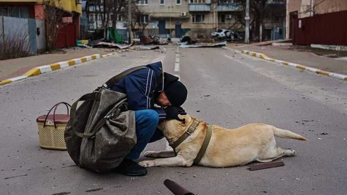 Люди, які отримали допомогу – питали, чи ми можемо дати їжу безпритульним тваринам, – Зеленський - 24 Канал