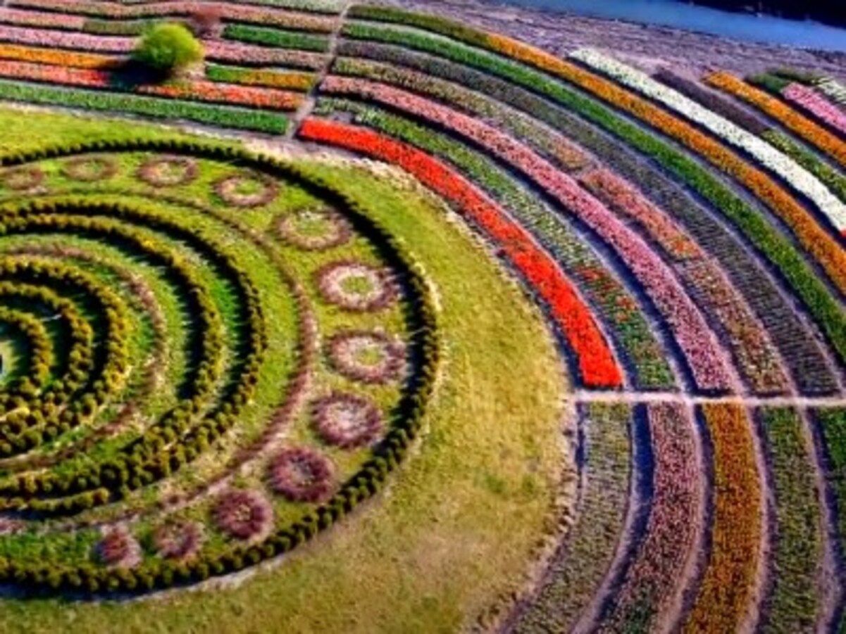 Уничтожены здания, транспорт, техника: оккупанты нанесли беспощадный удар по "Добропарку" - 24 Канал Уничтожены здания, транспорт, техника: оккупанты нанесли беспощадный удар по "Добропарку" - 24 Канал