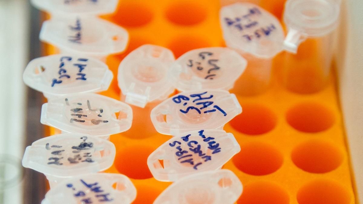 Научное издательство Microbiology Society приостановило публикацию статей из России - Техно Научное издательство Microbiology Society приостановило публикацию статей из России - Техно