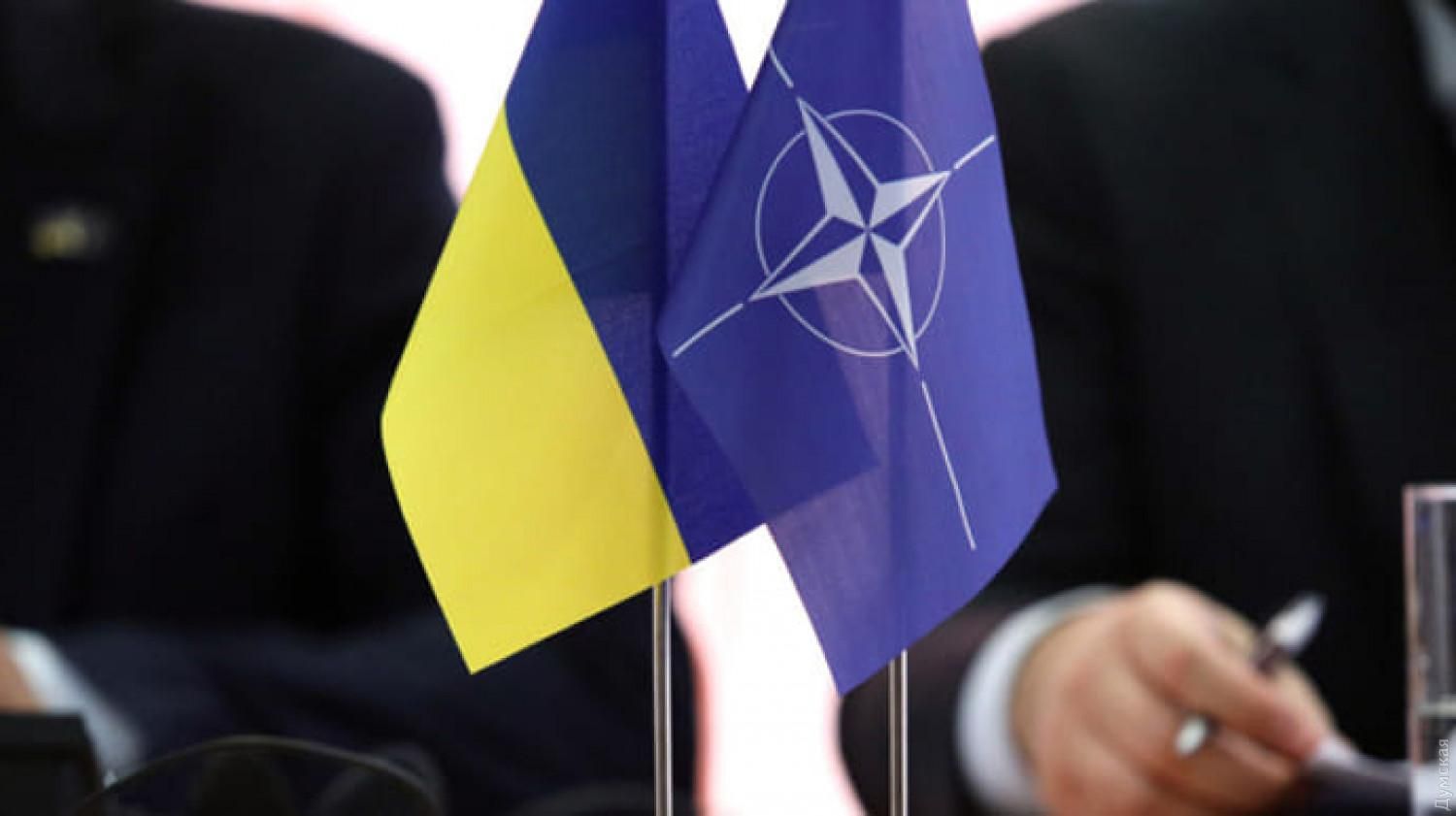Не Путіну це вирішувати, – Квін про вступ України в НАТО - 24 Канал