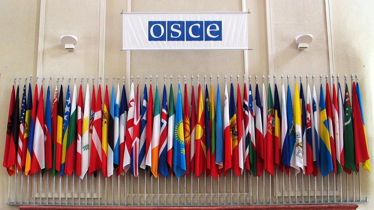 Россия – нацистское государство, что угрожает мировой безопасности, – заявление Украины в ОБСЕ