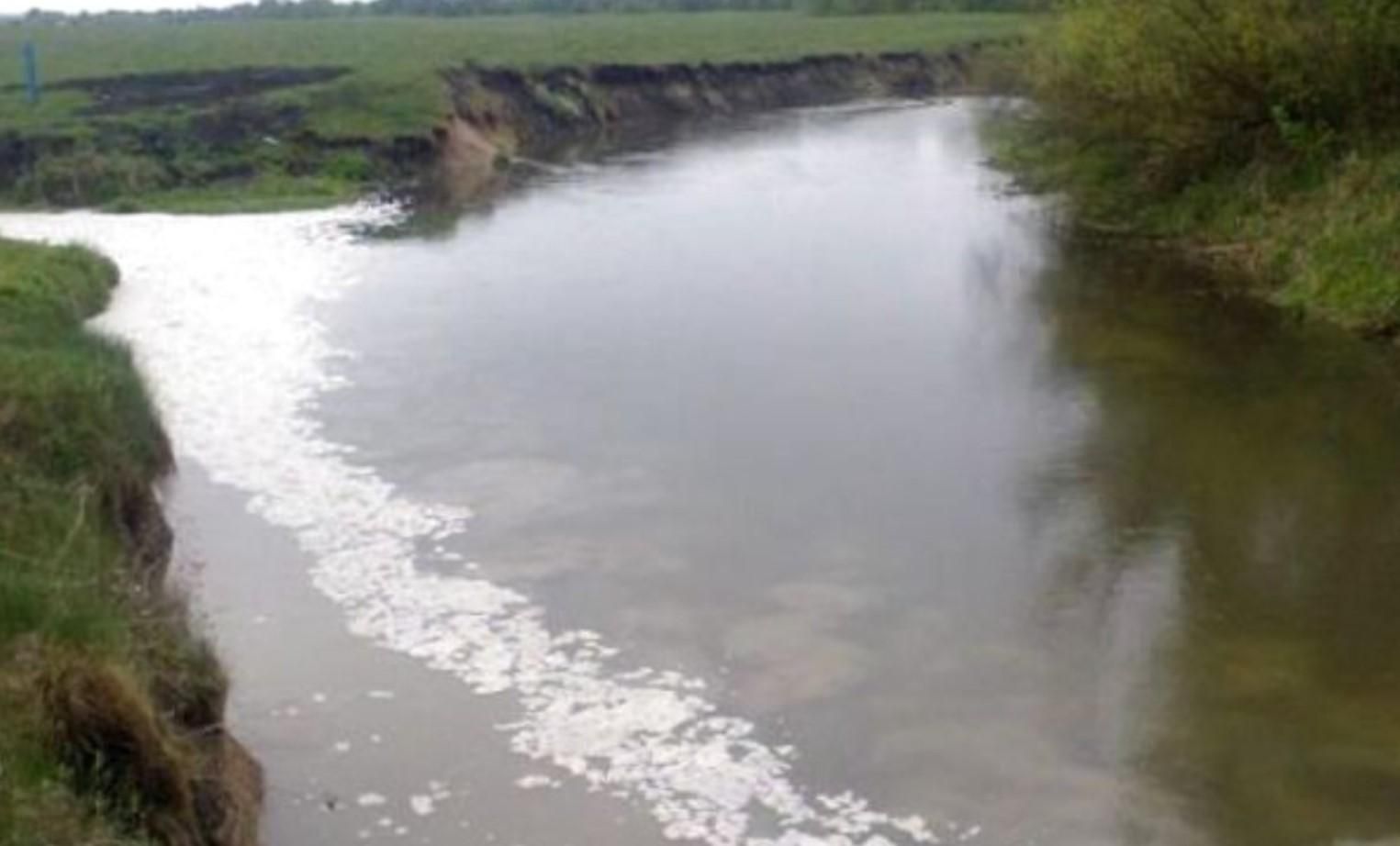 У річці Іква загинула риба, – журналістка про наслідки витоку аміаку на Тернопільщині - 24 Канал
