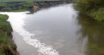 У річці Іква загинула риба, – журналістка про наслідки витоку аміаку на Тернопільщині