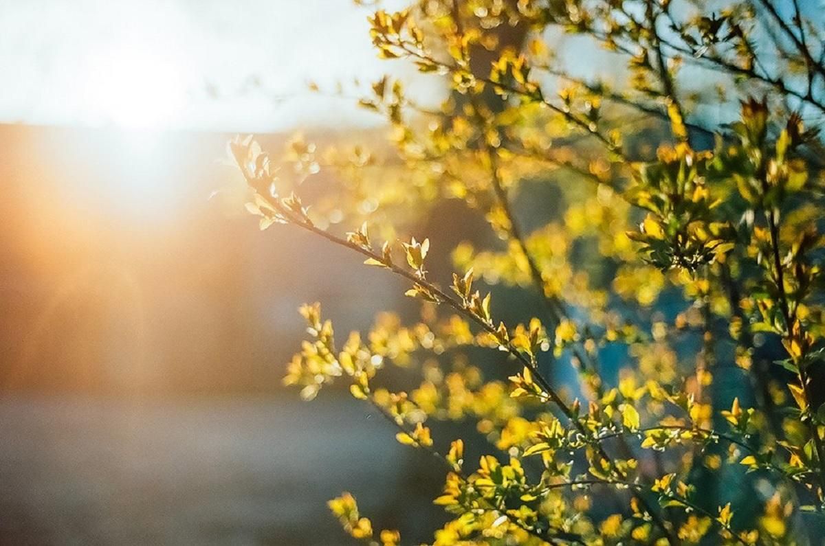 Погода 7 апреля 2022: прогноз от синоптиков Украины Погода 7 апреля 2022: прогноз от синоптиков Украины