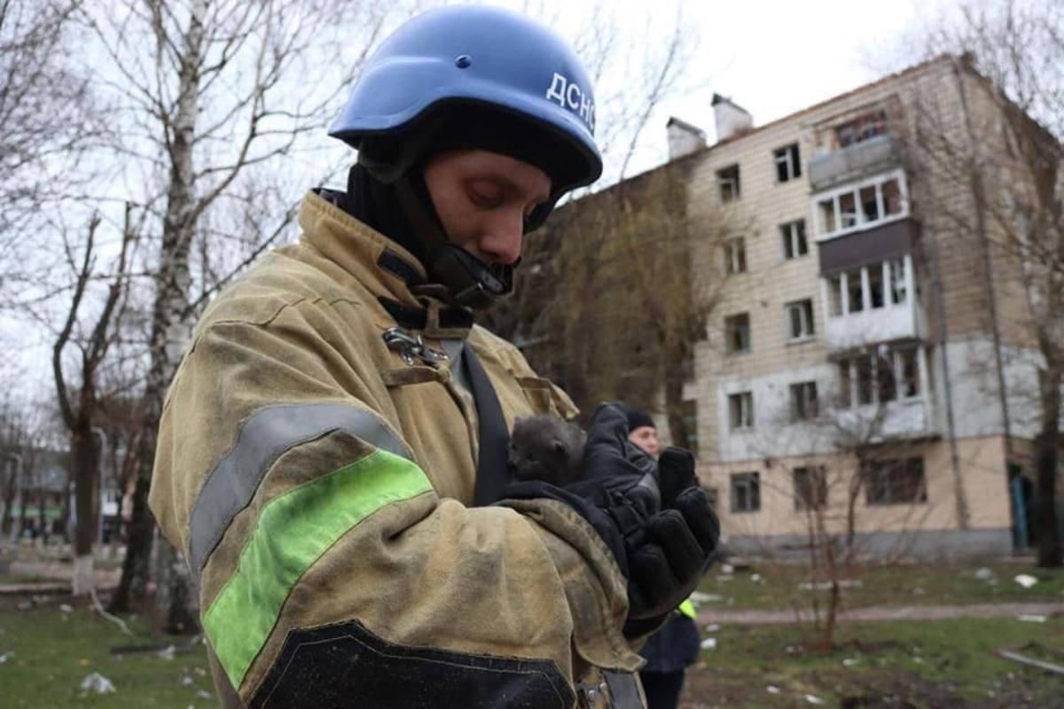 Є життя, буде перемога: співробітники ДСНС врятували маленьке кошеня у Бородянці - 24 Канал