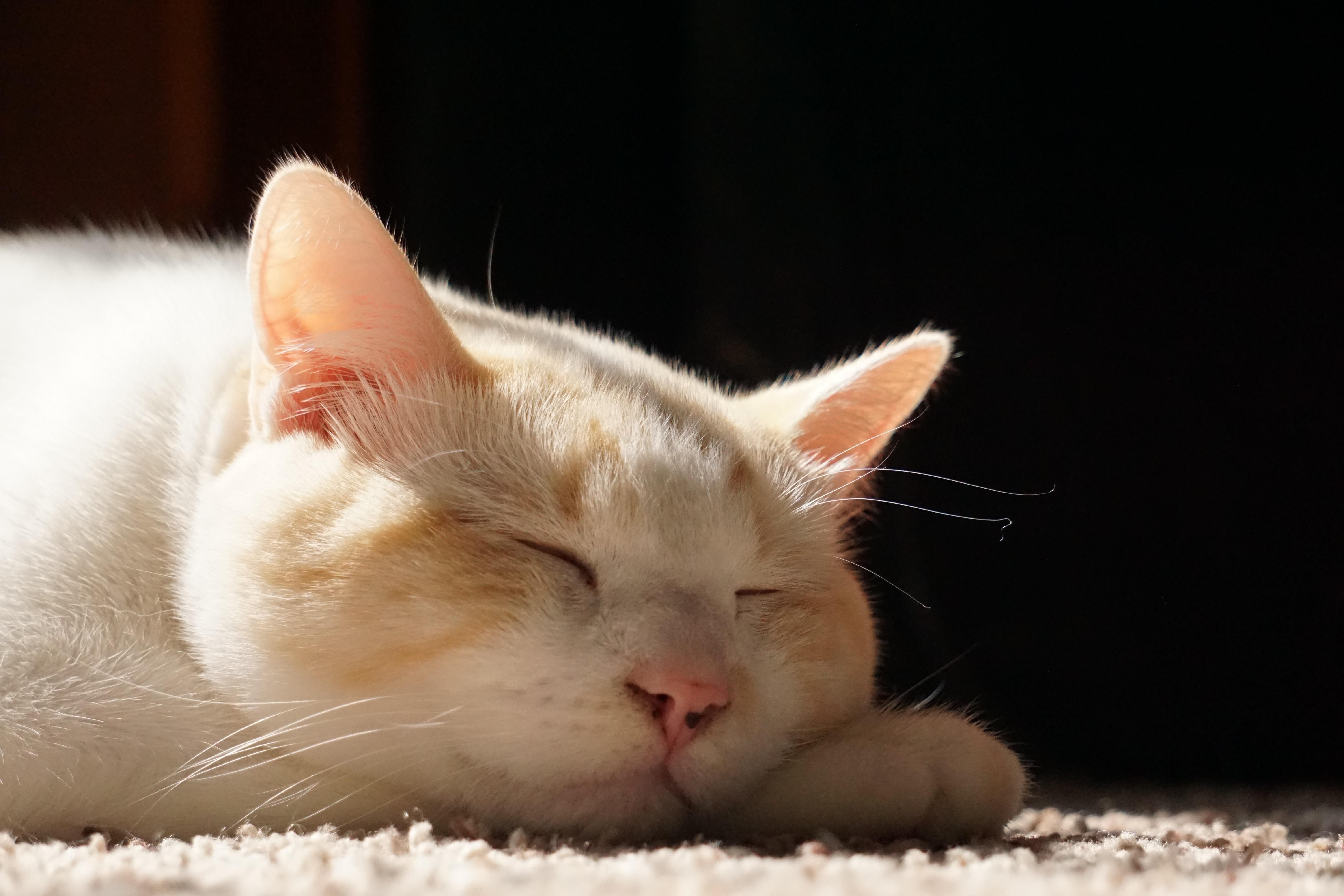 Запад и Север накроют дожди, на Востоке – солнце: прогноз погоды на 8 апреля Запад и Север накроют дожди, на Востоке – солнце: прогноз погоды на 8 апреля