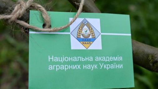 Не осудили российскую агрессию: украинские ученые разорвали связи с белорусскими коллегами