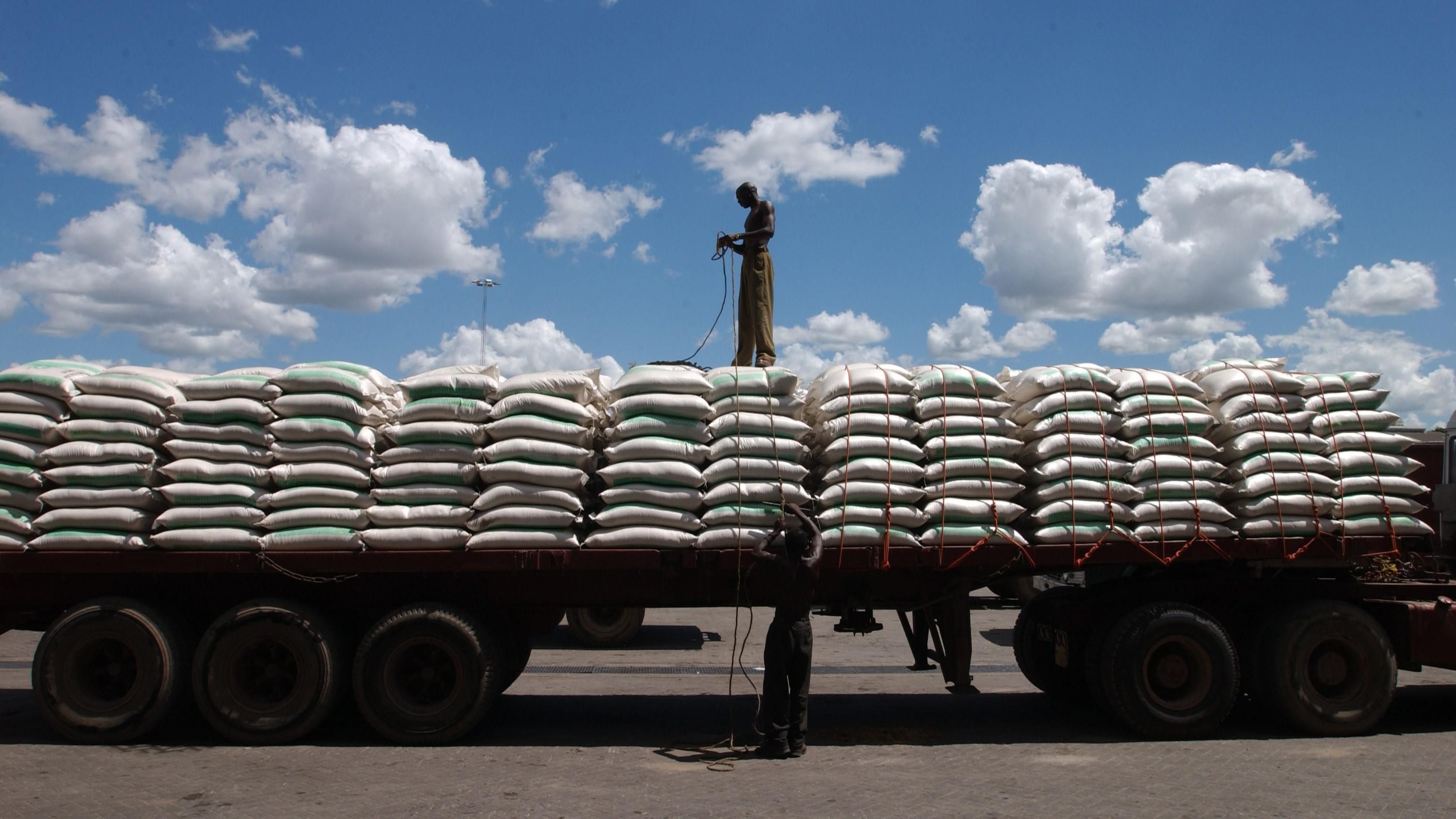 Через війну Росії проти України: світові ціни на продовольство зросли до історичного максимуму - Економіка