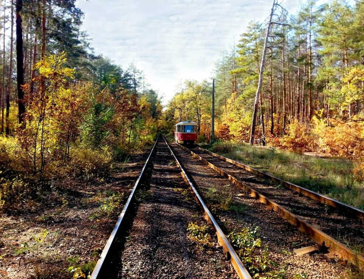 Київське військове керівництво вирішило обмежити в’їзд на територію Пущі-Водиці - 24 Канал