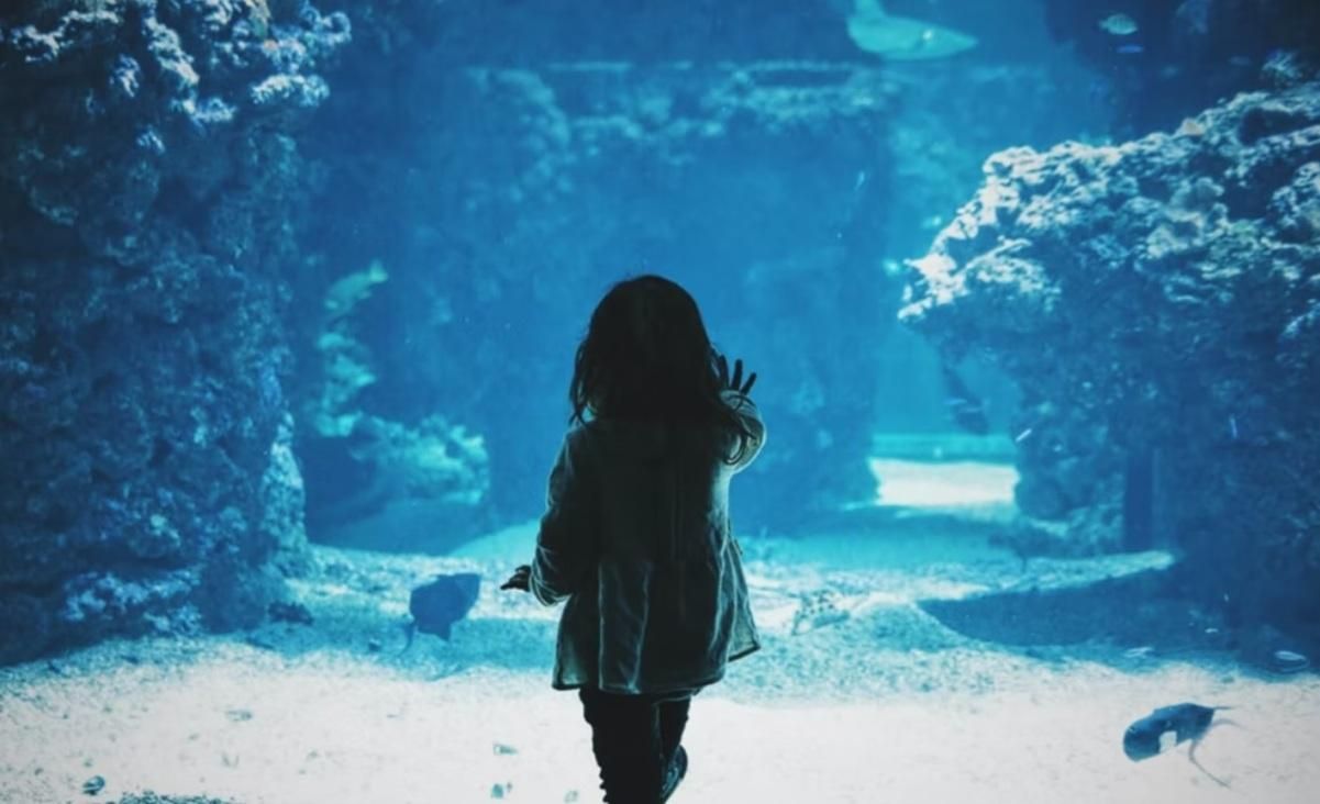 "Обняла и назвала крестным отцом": волонтер посетил в больнице девочку, которую спас "Обняла и назвала крестным отцом": волонтер посетил в больнице девочку, которую спас