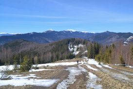 У Карпатах досі лежить сніг: висота покриву сягає понад 2 метри