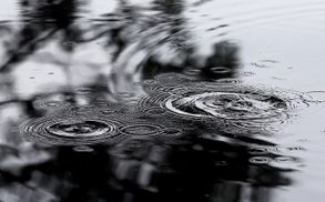 В районі Харкова росіяни зосереджують резерви, але там навіть погода за нас, – Арестович