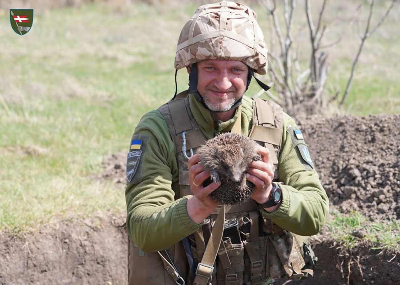 Воїни Князівської бригади провели блискавичну спецоперацію з порятунку їжака - 24 Канал Воїни Князівської бригади провели блискавичну спецоперацію з порятунку їжака - 24 Канал