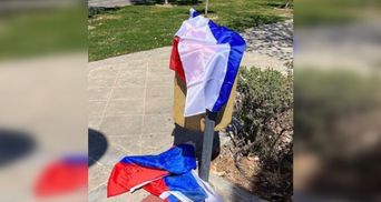 Помахали прапором – і у смітник: на Кіпрі платять за участь у проросійських мітингах