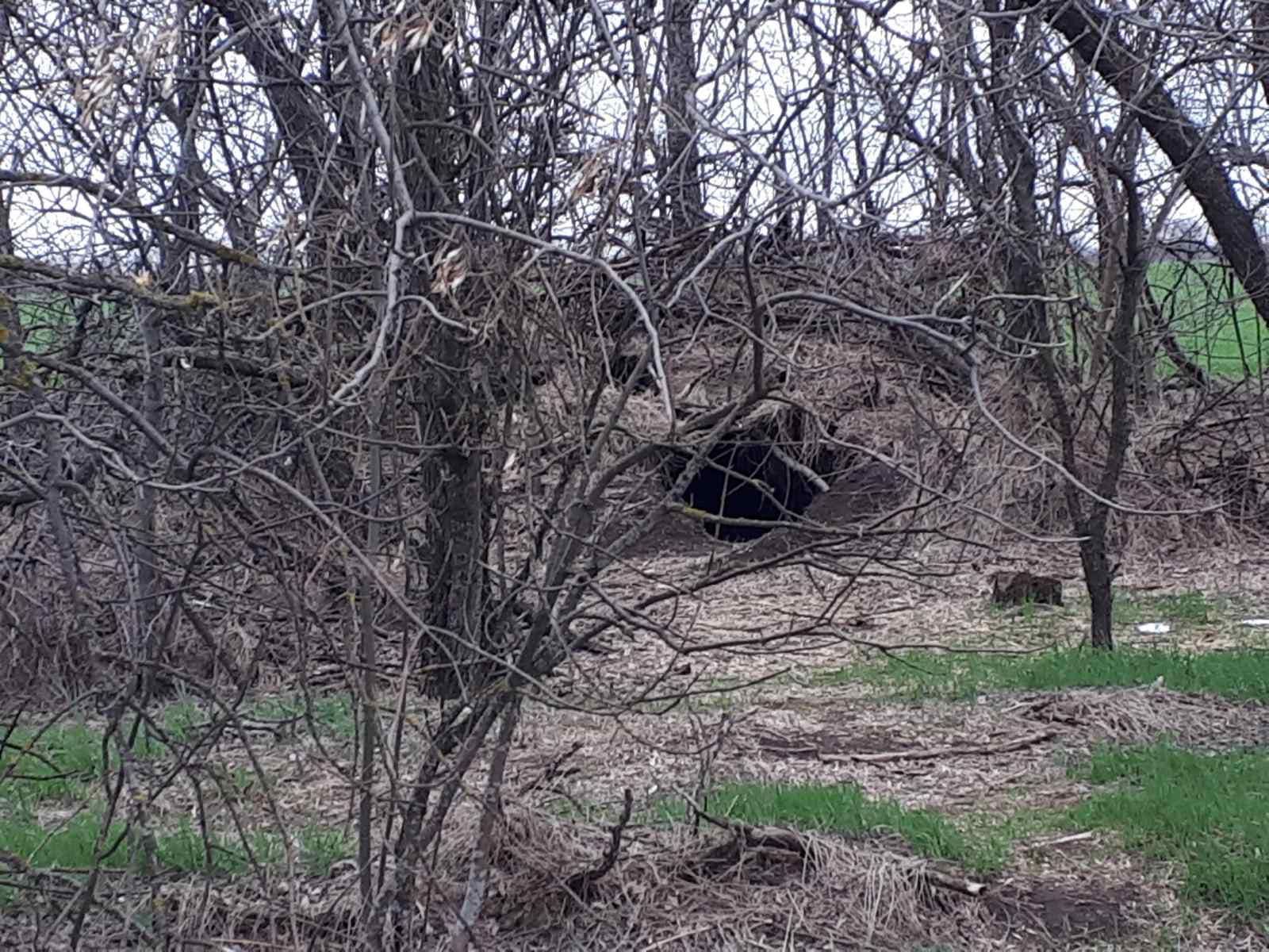 В Николаевской области оккупанты жили в "дупле", пока их не выгнали украинские военные