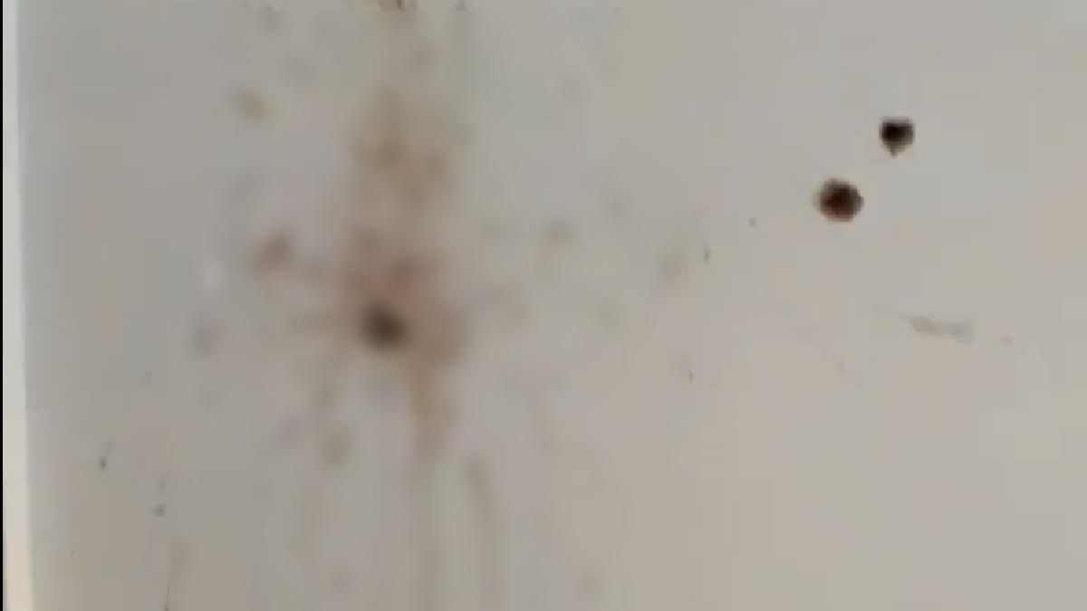 В Ірпені окупанти розстріляли людину просто в дитячому садочку: жахливі кадри - 24 Канал В Ірпені окупанти розстріляли людину просто в дитячому садочку: жахливі кадри - 24 Канал