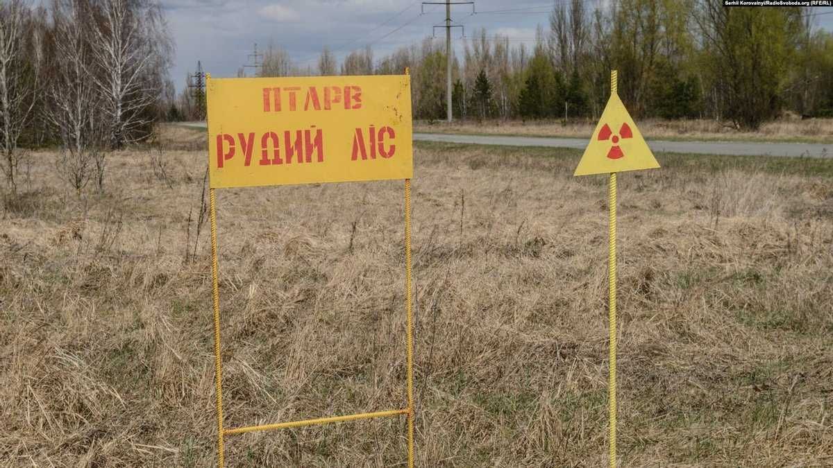 "Призраки Рыжего леса": оккупанты просто копали себе склепы в Чернобыле, – ученый