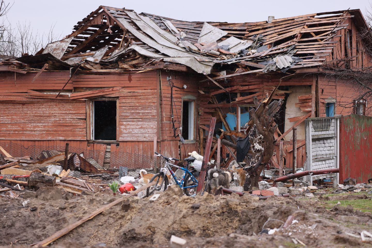 "Я своїх боюся більше, ніж бандерівців": окупант не може оговтатись від звірств росіян - 24 Канал "Я своїх боюся більше, ніж бандерівців": окупант не може оговтатись від звірств росіян - 24 Канал