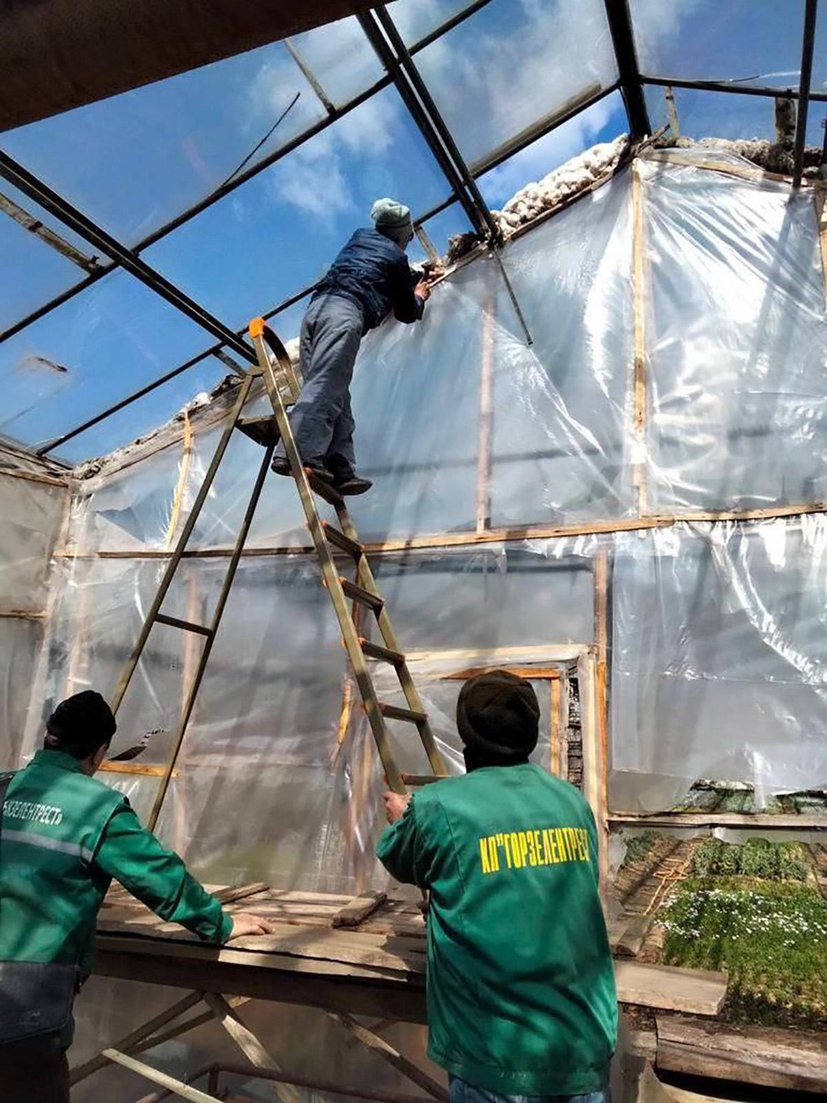 В Одессе под обстрел попали городские цветники В Одессе под обстрел попали городские цветники