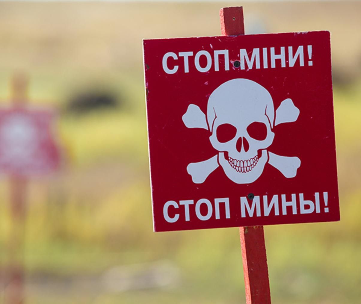 Алфавит минной безопасности: правила, которые должен знать каждый - 24 Канал Алфавит минной безопасности: правила, которые должен знать каждый - 24 Канал