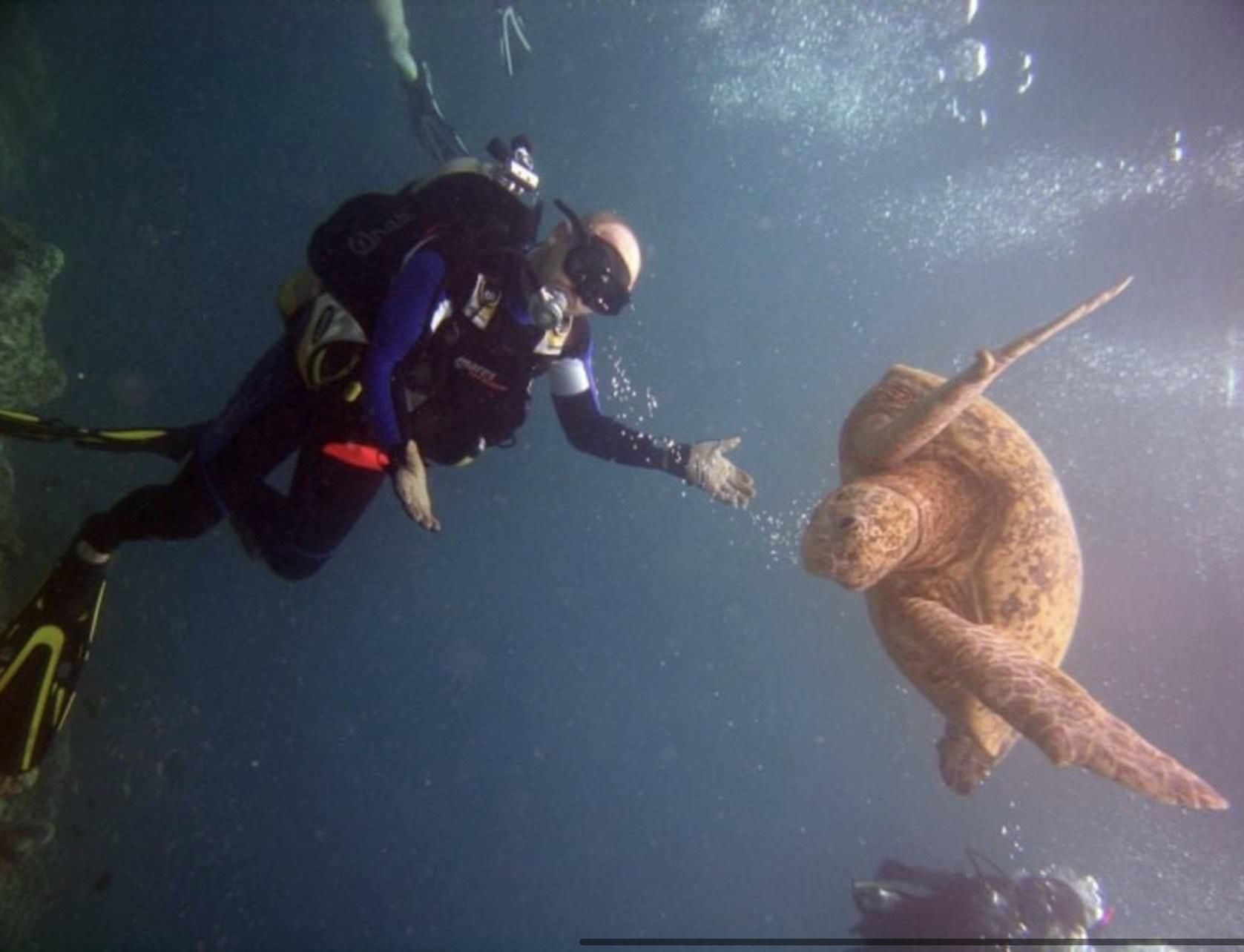 "Гідне місце для дайвінгу": міністр оборони потролив росіян через затонулу "Москву" - 24 Канал "Гідне місце для дайвінгу": міністр оборони потролив росіян через затонулу "Москву" - 24 Канал