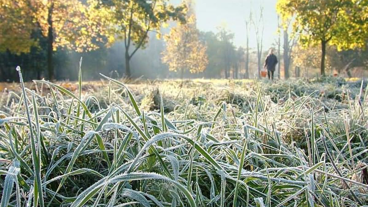 Сильные заморозки и мокрый снег: синоптики предупредили об ухудшении погоды во Львовской области Сильные заморозки и мокрый снег: синоптики предупредили об ухудшении погоды во Львовской области