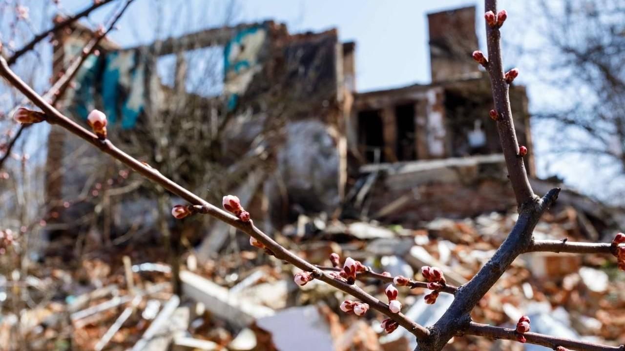 Звільнена від окупантів Рогань на Харківщині повертається до життя: промовисті фото з селища - 24 Канал