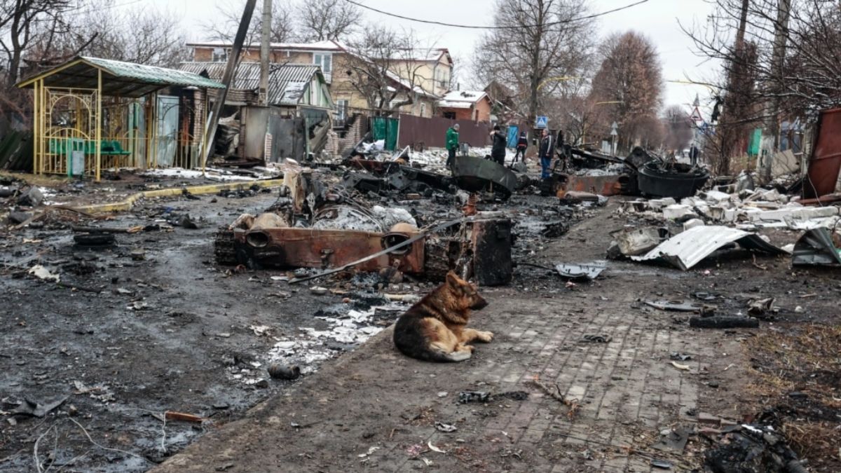 Наибольшей жестокостью к украинцам отличились десантники из Пскова и Костромы – CIT Наибольшей жестокостью к украинцам отличились десантники из Пскова и Костромы – CIT